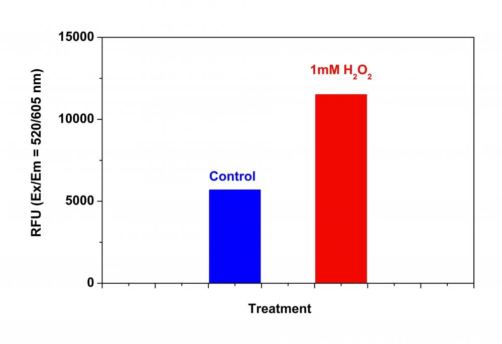 Cell Meter™ Fluorimetric Intracellular Total ROS Activity Assay Kit*Red Fluorescence* - image 1