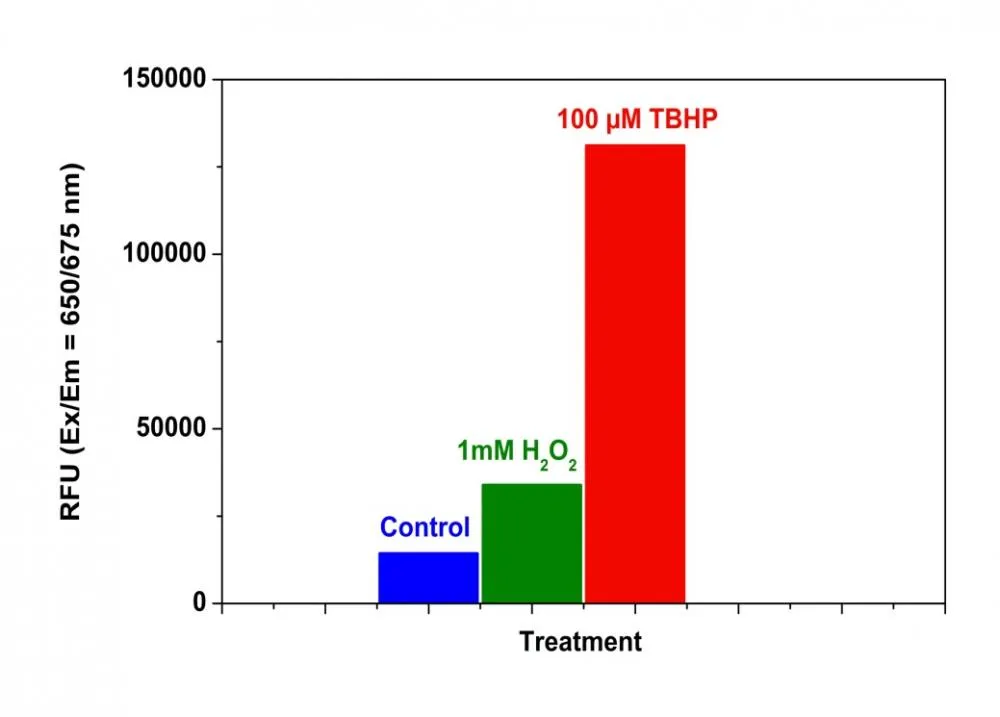 Cell Meter™ Fluorimetric Intracellular Total ROS Activity Assay Kit*Deep Red Fluorescence* - image 2
