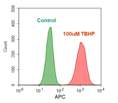 Cell Meter™ Fluorimetric Intracellular Total ROS Activity Assay Kit*Deep Red Fluorescence* - image 1