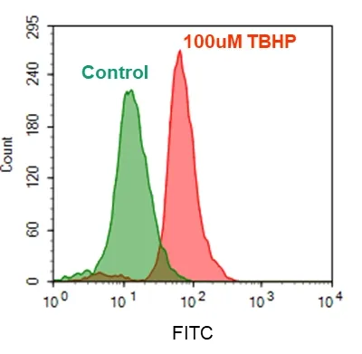 Cell Meter™ Fluorimetric Intracellular Total ROS Activity Assay Kit*Optimized for Flow Cytometry* - image 1