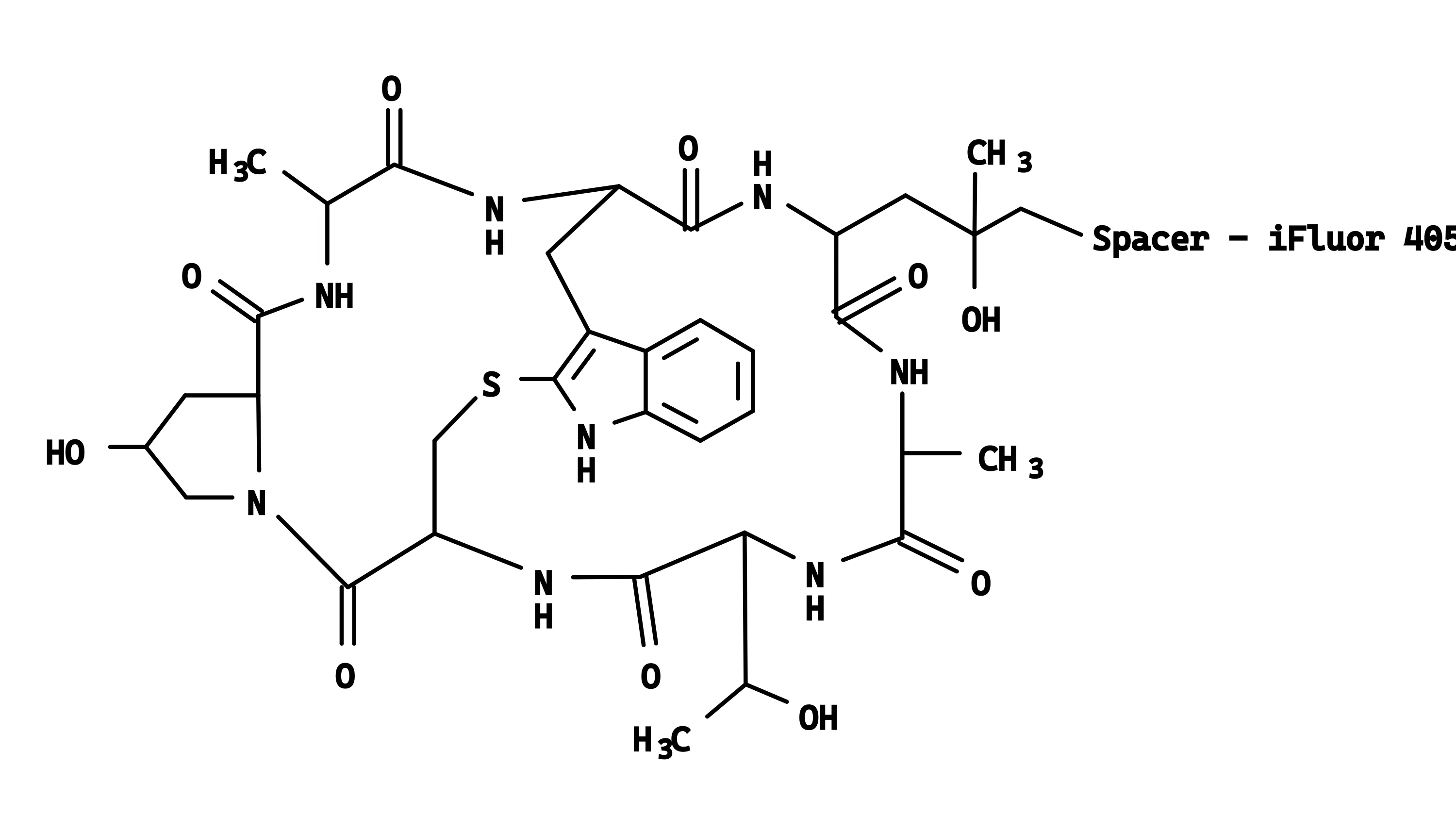 Phalloidin-iFluor® 405 Conjugate - image 3