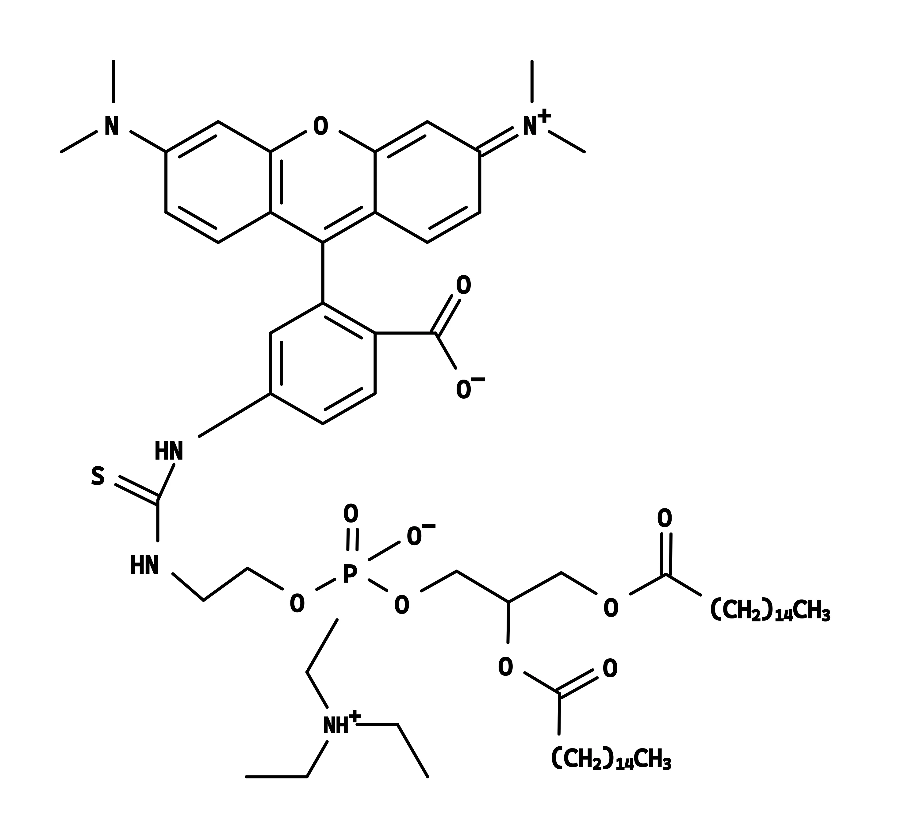 TRITC-DHPE - image 1