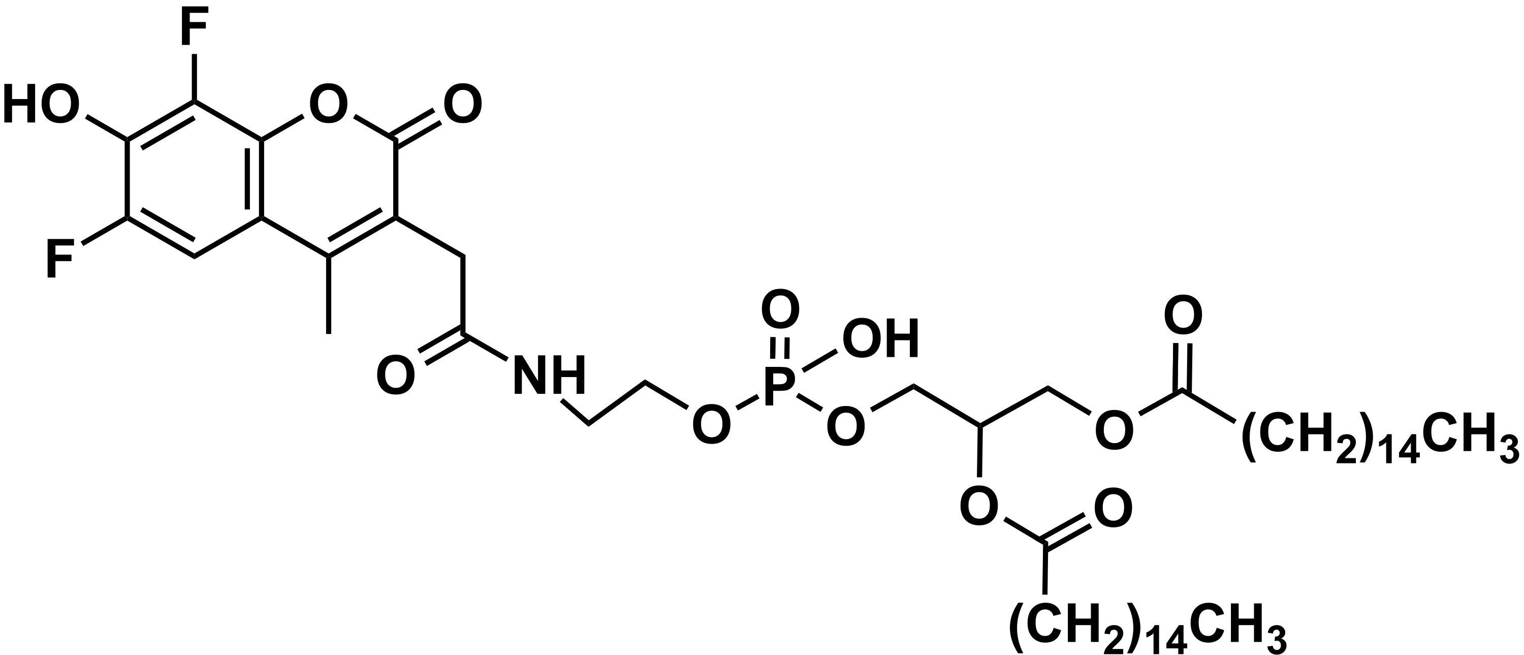 Forte Blue™ DHPE - image 1