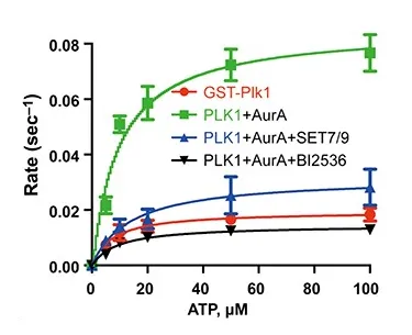 Amplite® Universal Fluorimetric Kinase Assay Kit *Red Fluorescence* - image 2