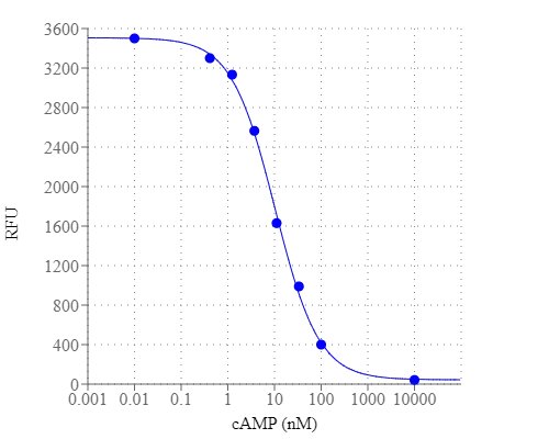 Screen Quest™ Fluorimetric ELISA cAMP Assay Kit - image 1