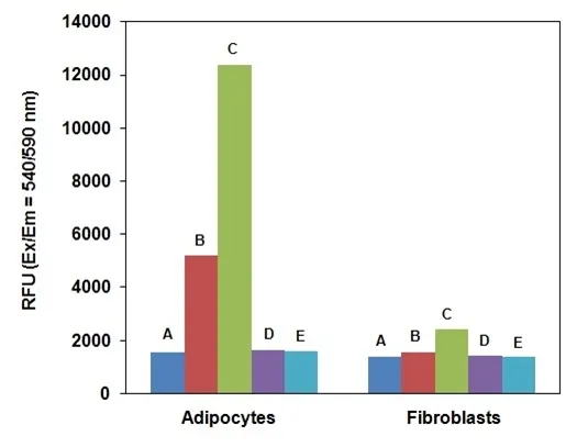 Screen Quest™ Fluorimetric Glucose Uptake Assay Kit - image 1