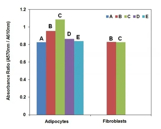 Screen Quest™ Colorimetric Glucose Uptake Assay Kit - image 1