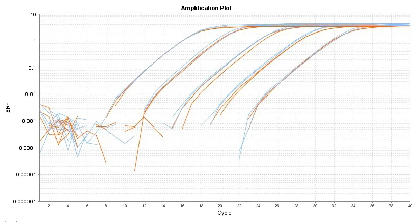 6-ROXtra™ fluorescence reference solution *25 uM for PCR reactions* - image 1