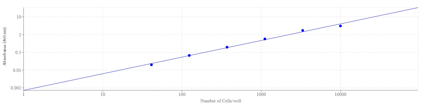 Cell Meter™ Colorimetric WST-8 Cell Quantification Kit - image 3