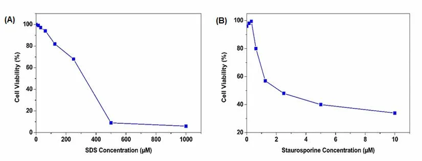 Cell Meter™ Colorimetric WST-8 Cell Quantification Kit - image 1