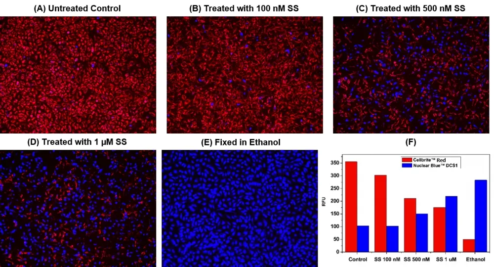Live or Dead™ Cell Viability Assay Kit *Red/Blue Dual Fluorescence* - image 1
