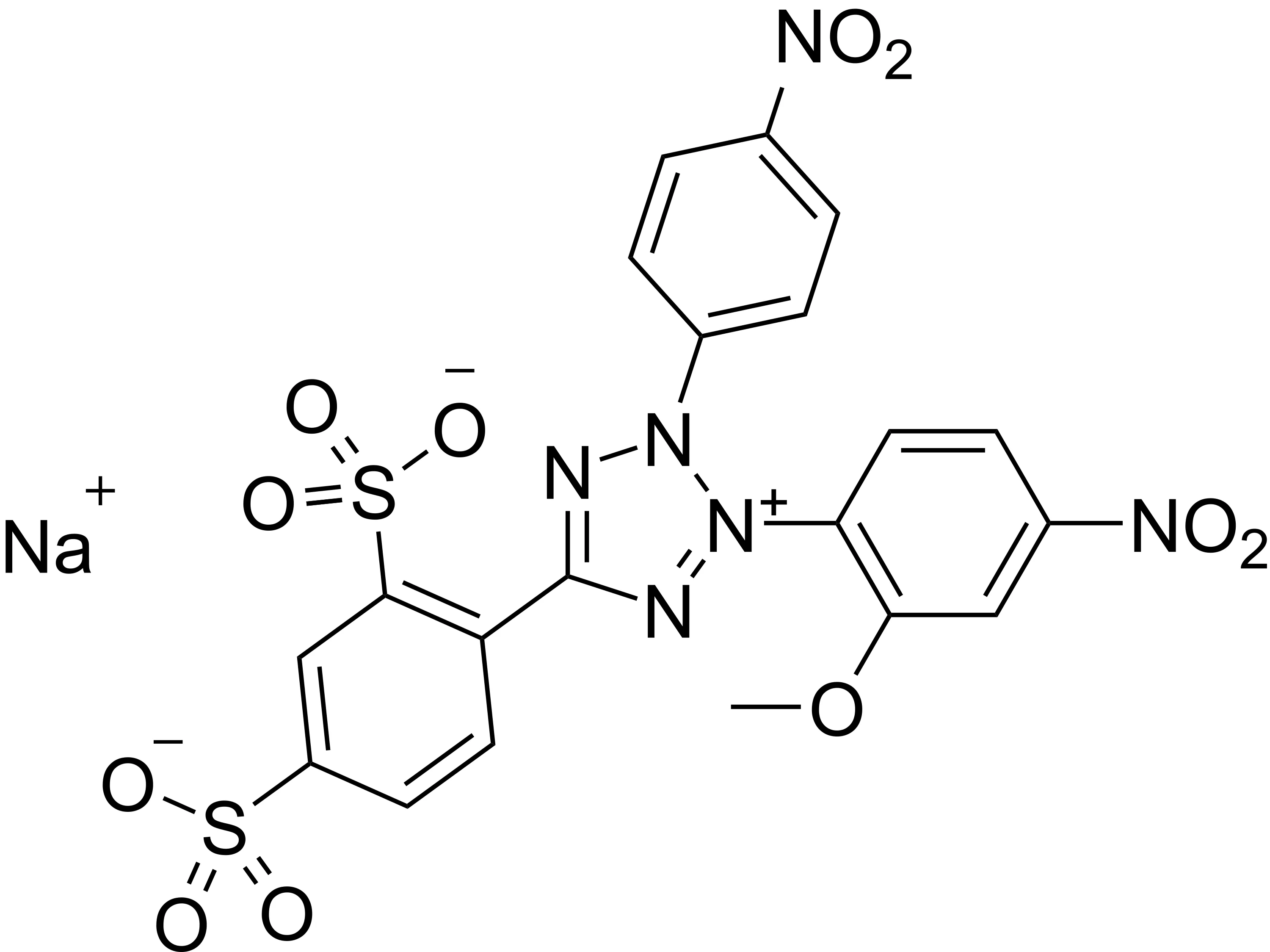 ReadiUse™ WST-8 *50 mM aqueous solution* - image 1