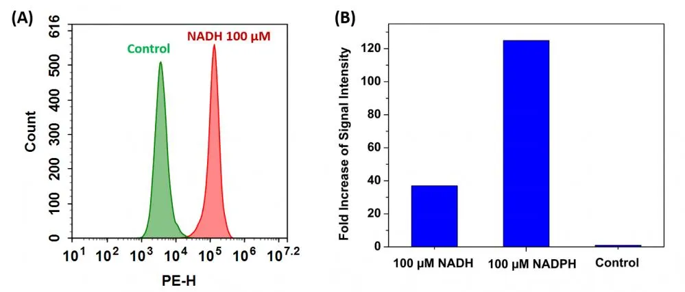 Cell Meter™ Intracellular NADH/NADPH Flow Cytometric Analysis Kit *Red Fluorescence* - image 1