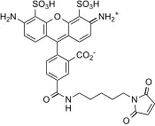 XFD488 C5 Maleimide *Same Structure to Alexa Fluor™ 488 C5 Maleimide* - image 2