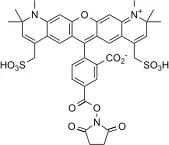 XFD594 NHS Ester - image 1