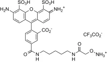 XFD488 Hydroxylamine - image 1