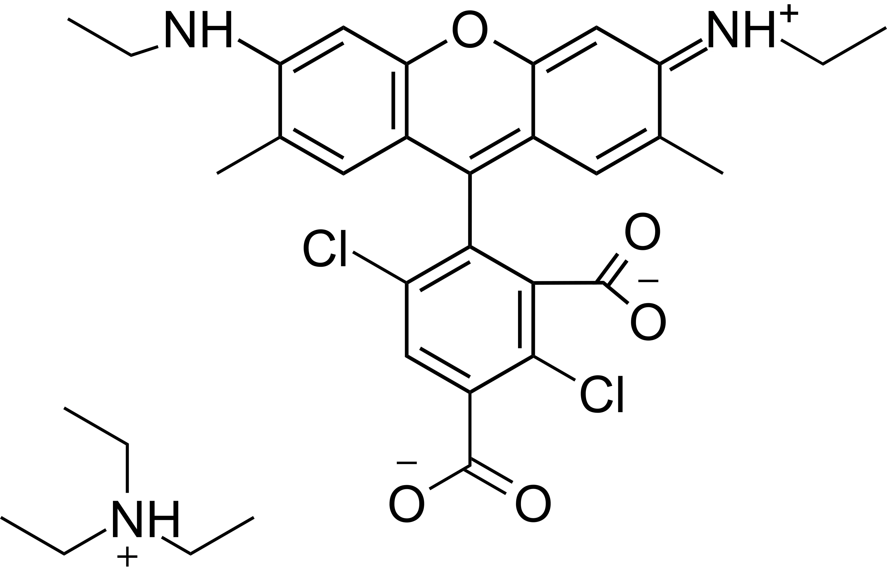 5-dR6G [5-Carboxy-4,7-dichlororhodamine 6G]