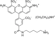 XFD488 amine - image 1