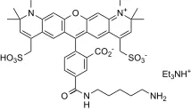 XFD594 amine - image 1