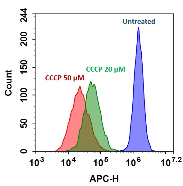 Cell Meter™ Mitochondrion Membrane Potential Assay Kit *Red Fluorescence Optimized for Flow Cytometry* - image 1