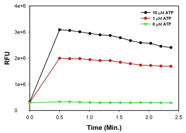 Cell Meter™ Flow Cytometric Calcium Assay Kit - image 2