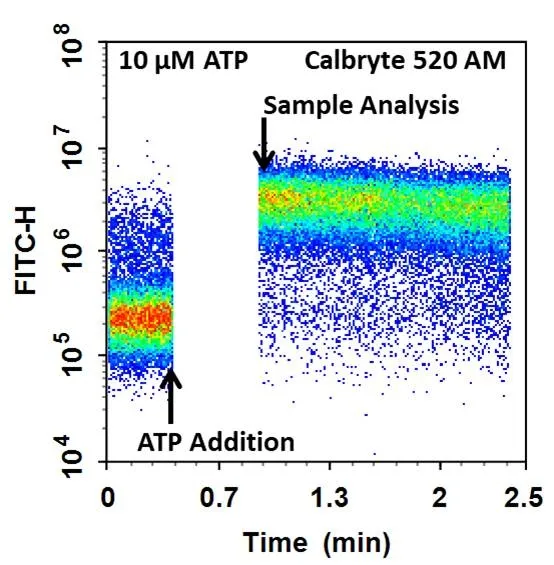 Cell Meter™ Flow Cytometric Calcium Assay Kit - image 1