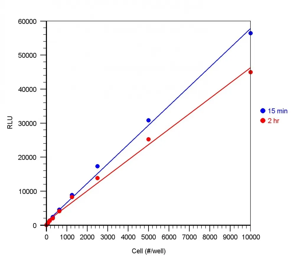 ReadiUse™ Rapid Luminometric ATP Assay Kit - image 1