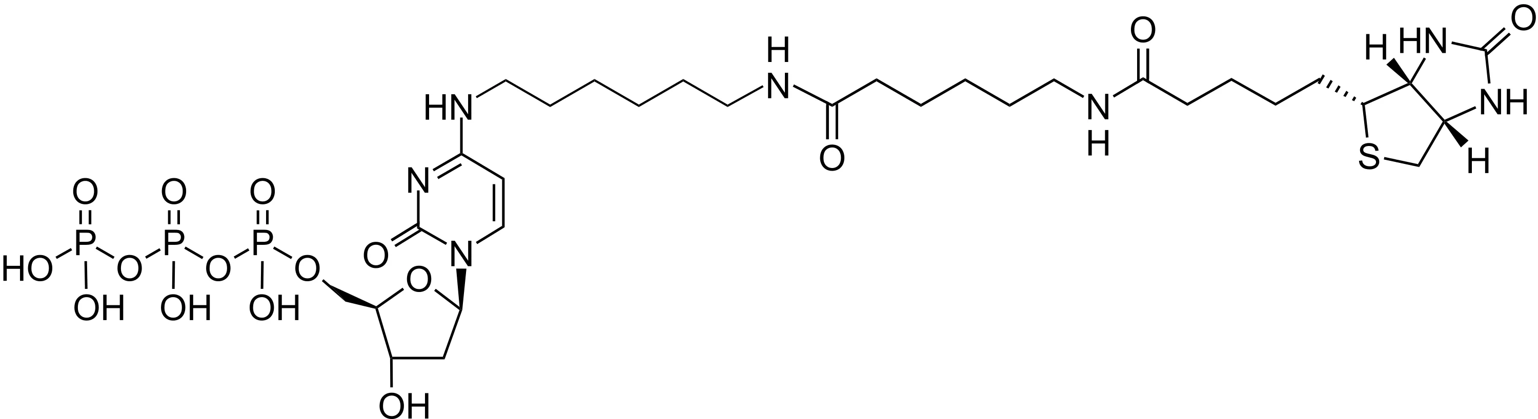 Biotin-14-dCTP *1 mM in Tris Buffer (pH 7.5)* - image 1