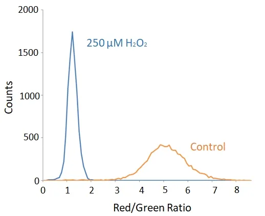 Cell Meter™ Fluorimetric Cellular Lipid Peroxidation Assay Kit - image 2