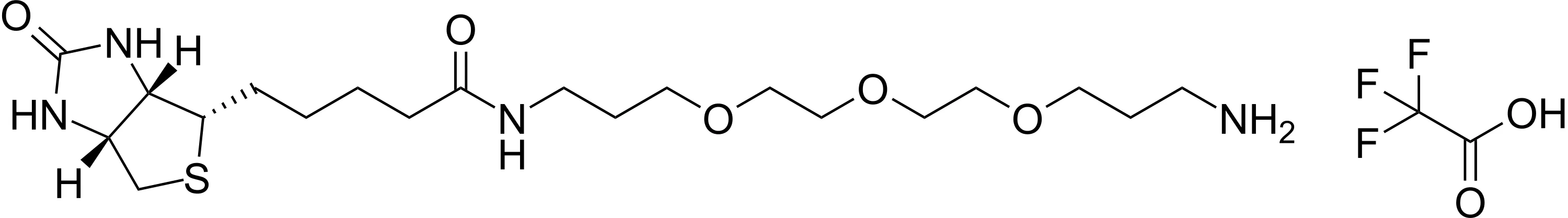 Biotin PEG3 amine - image 1