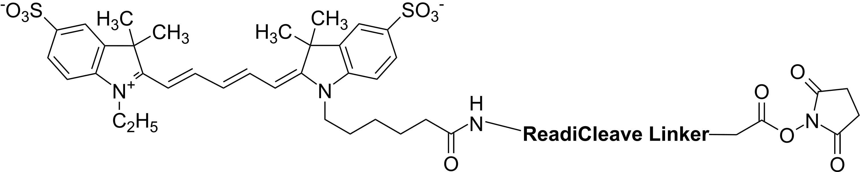 ReadiCleave™ AML Cy5 NHS ester - image 1