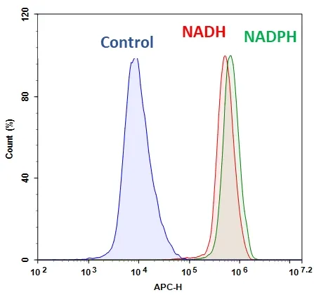 Cell Meter™ Intracellular NADH/NADPH Flow Cytometric Analysis Kit *Deep Red Fluorescence* - image 1