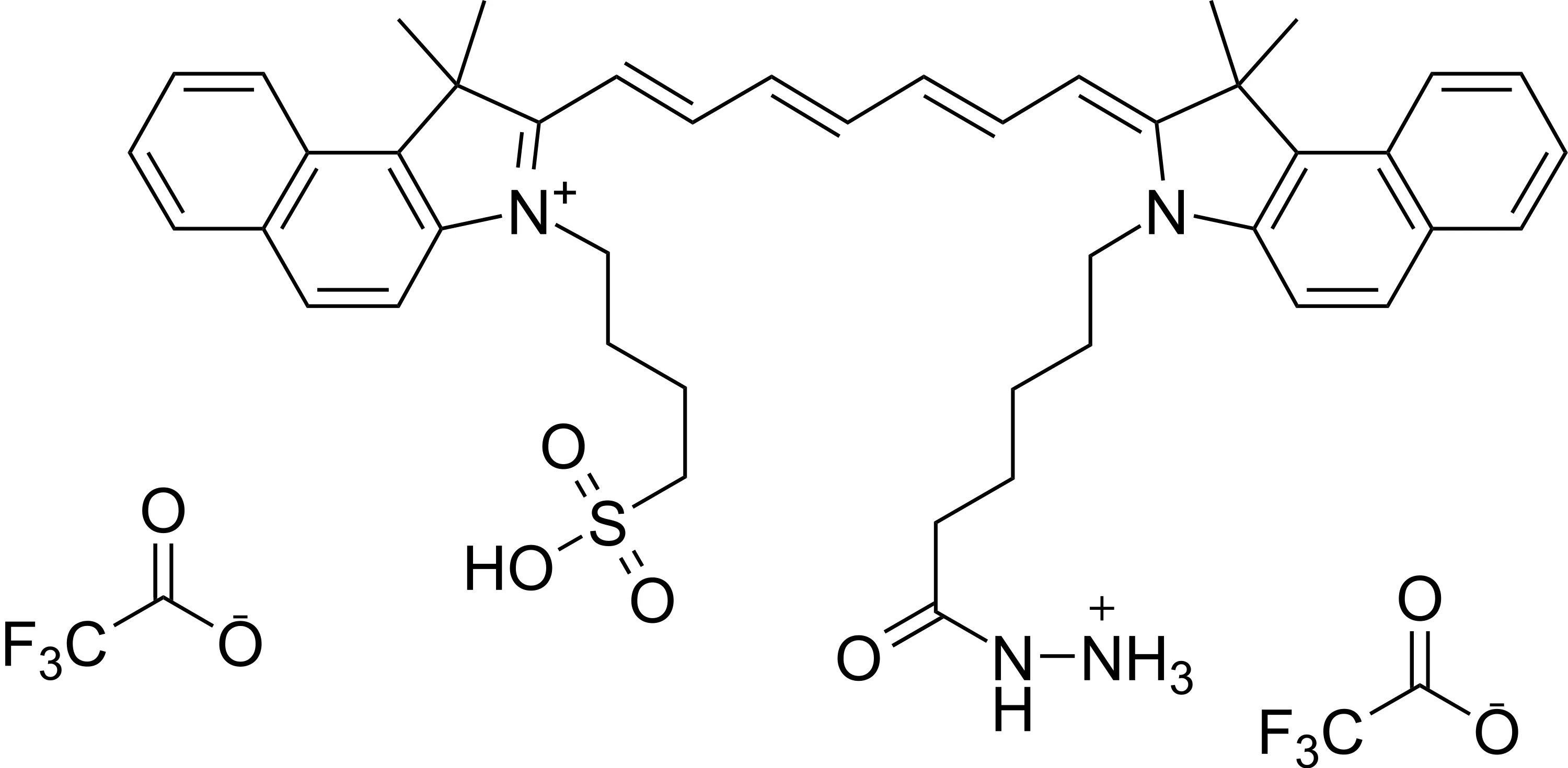 ICG hydrazide - image 1