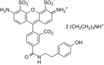 XFD488 tyramide reagent *Same Structure to Alexa Fluor™ 488 tyramide* - image 1