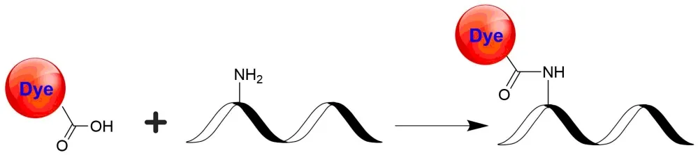 QXY21 [equivalent to QSY-21] - image 2