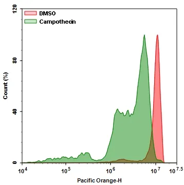 Cell Meter™ Intracellular GSH Assay Kit *Optimized for Flow Cytometry with 405 nm excitation* - image 1