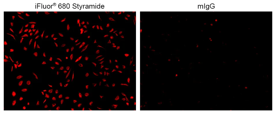 IFluor® 680 Styramide - image 1