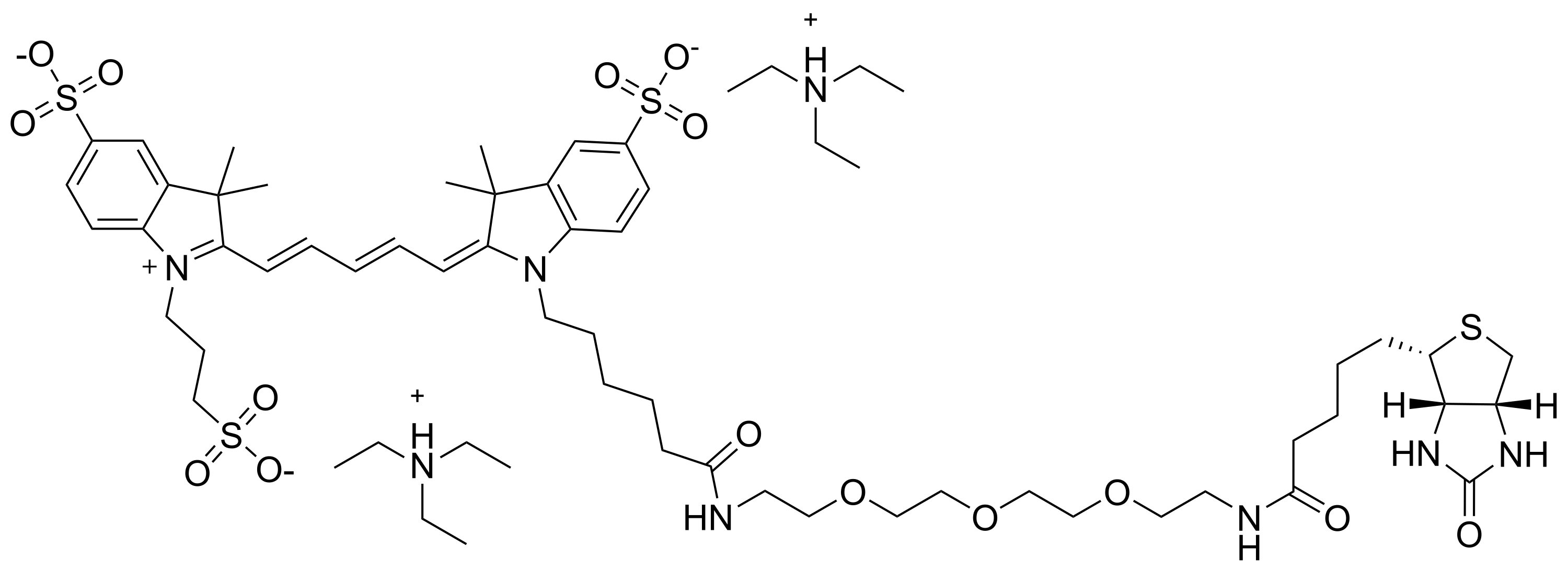 Cy5 biotin conjugate - image 1