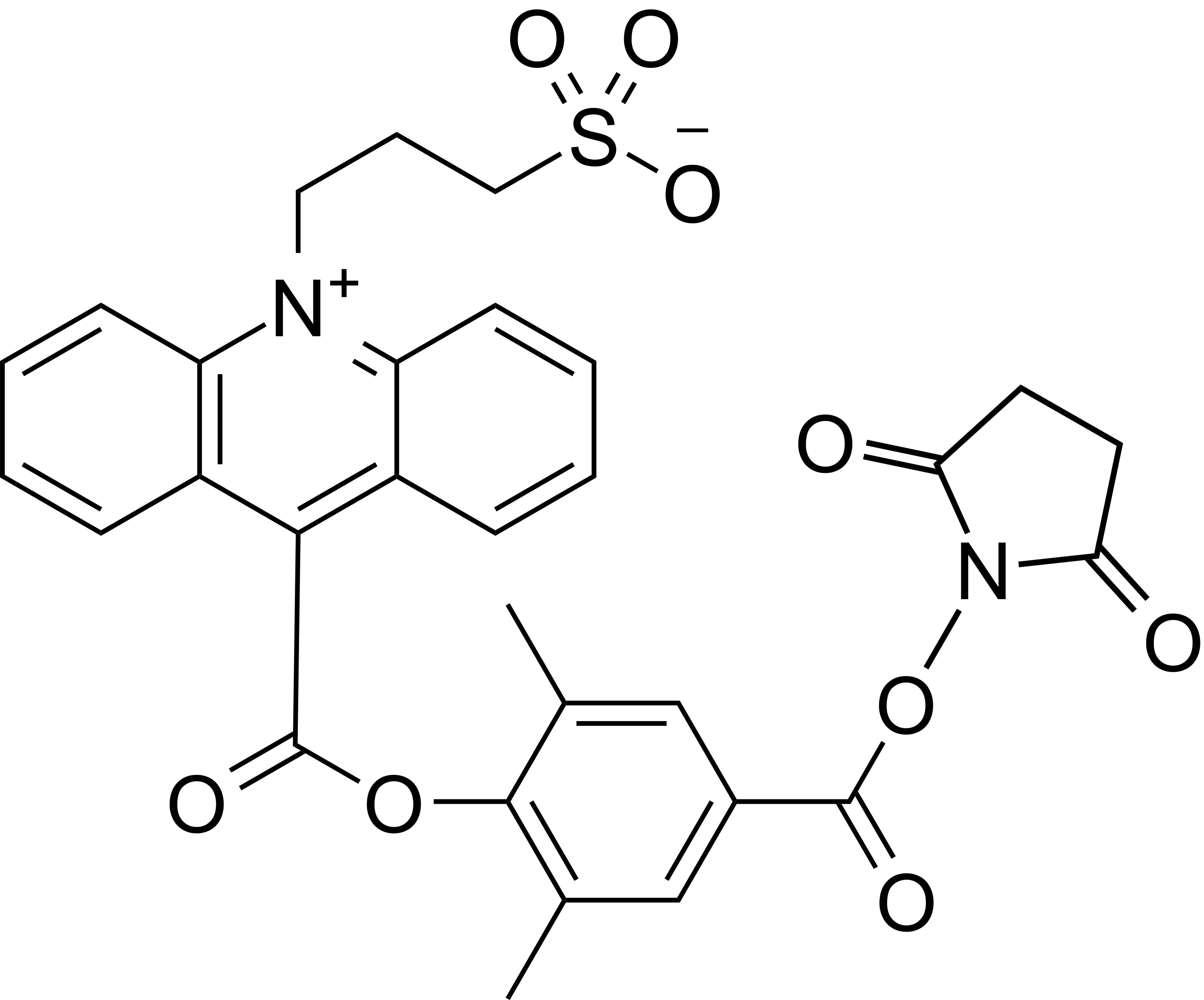 N-Sp-DMAE, NHS ester - image 1