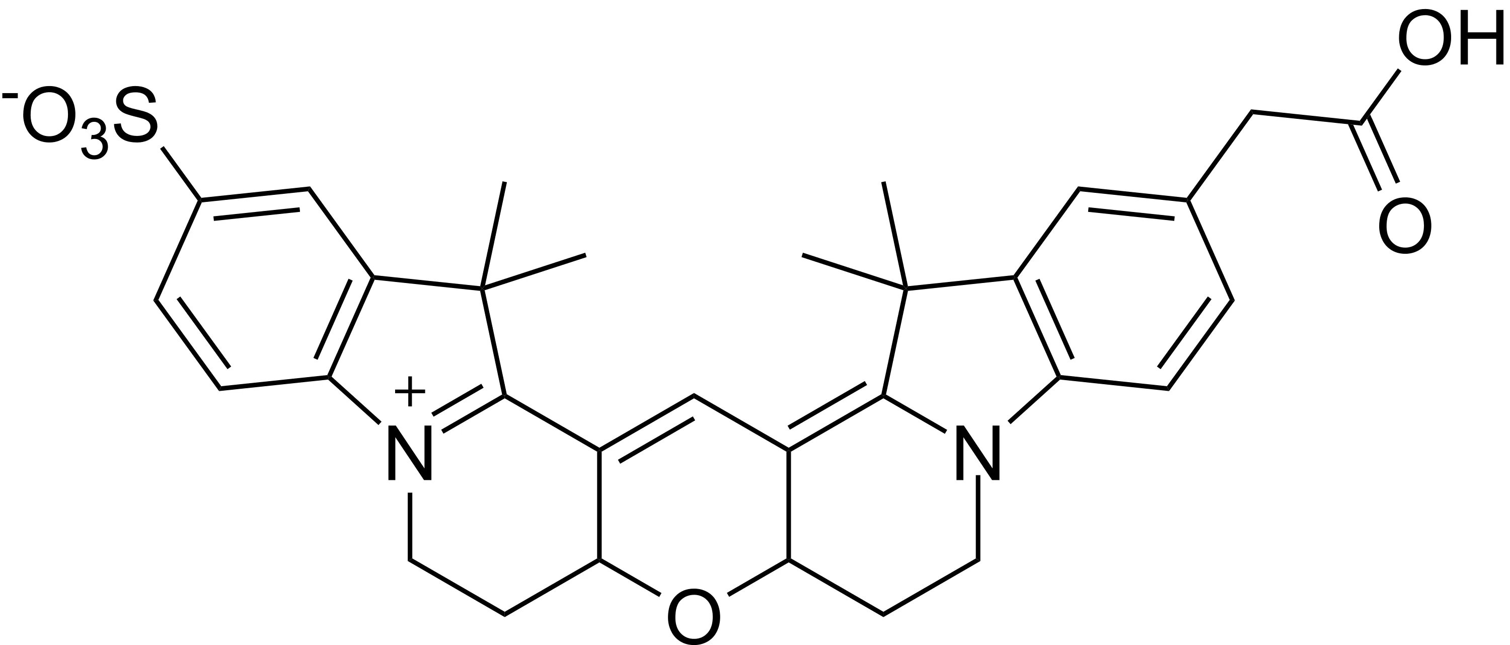 Cy3B acid - image 1
