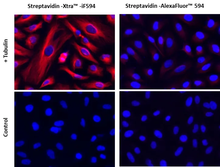 Streptavidin-Xtra™ IF594 - image 1