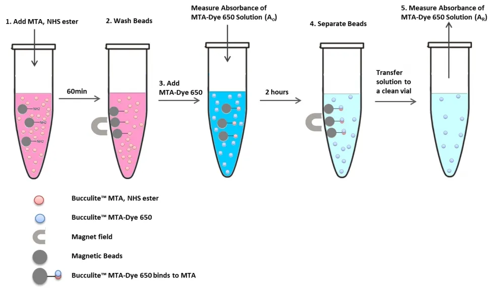 Beadlite™ Rapid Colorimetric Amino Quantitation Kit for Nanoparticles - image 1