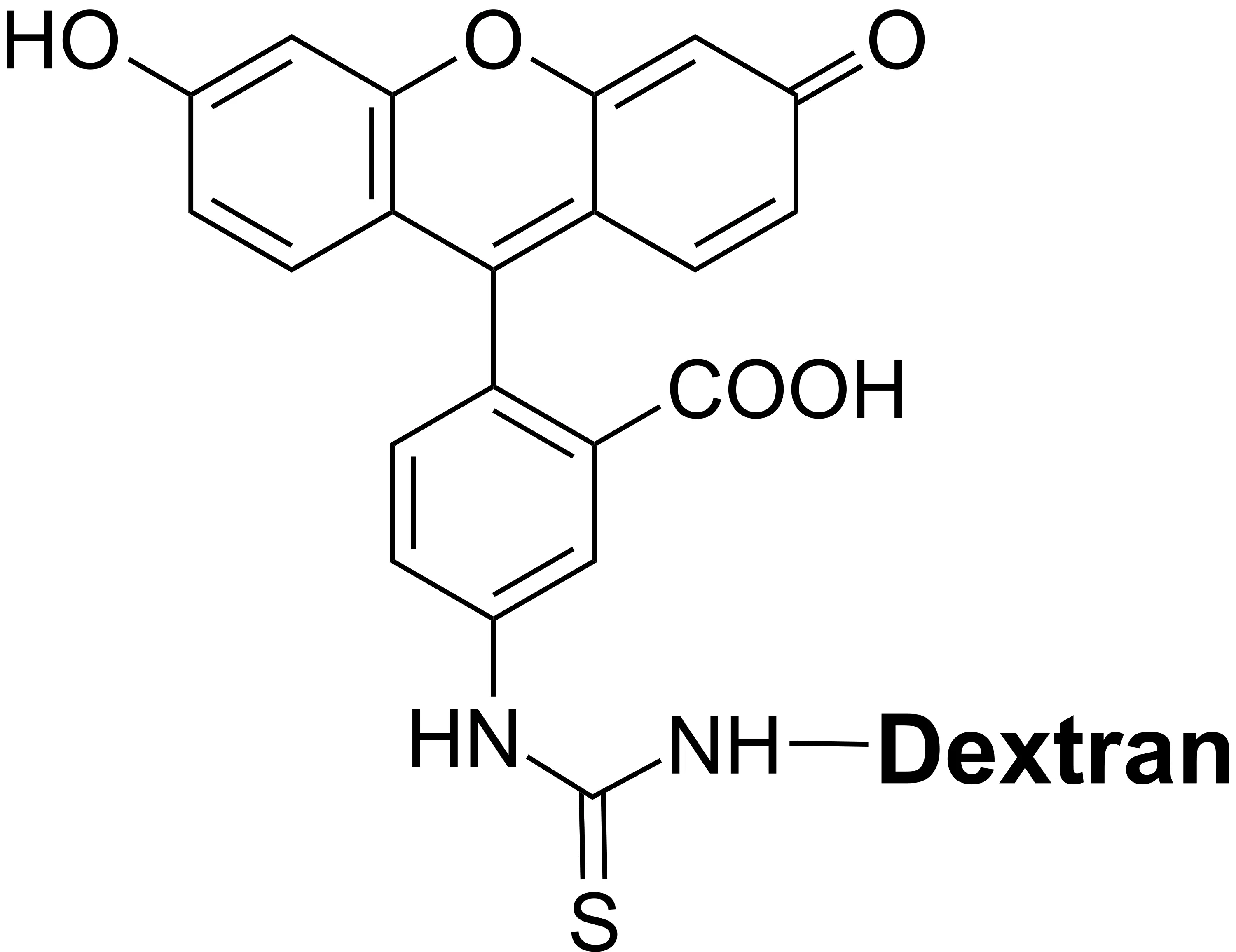 FITC–dextran conjugate (average MW = ~70K) - image 1