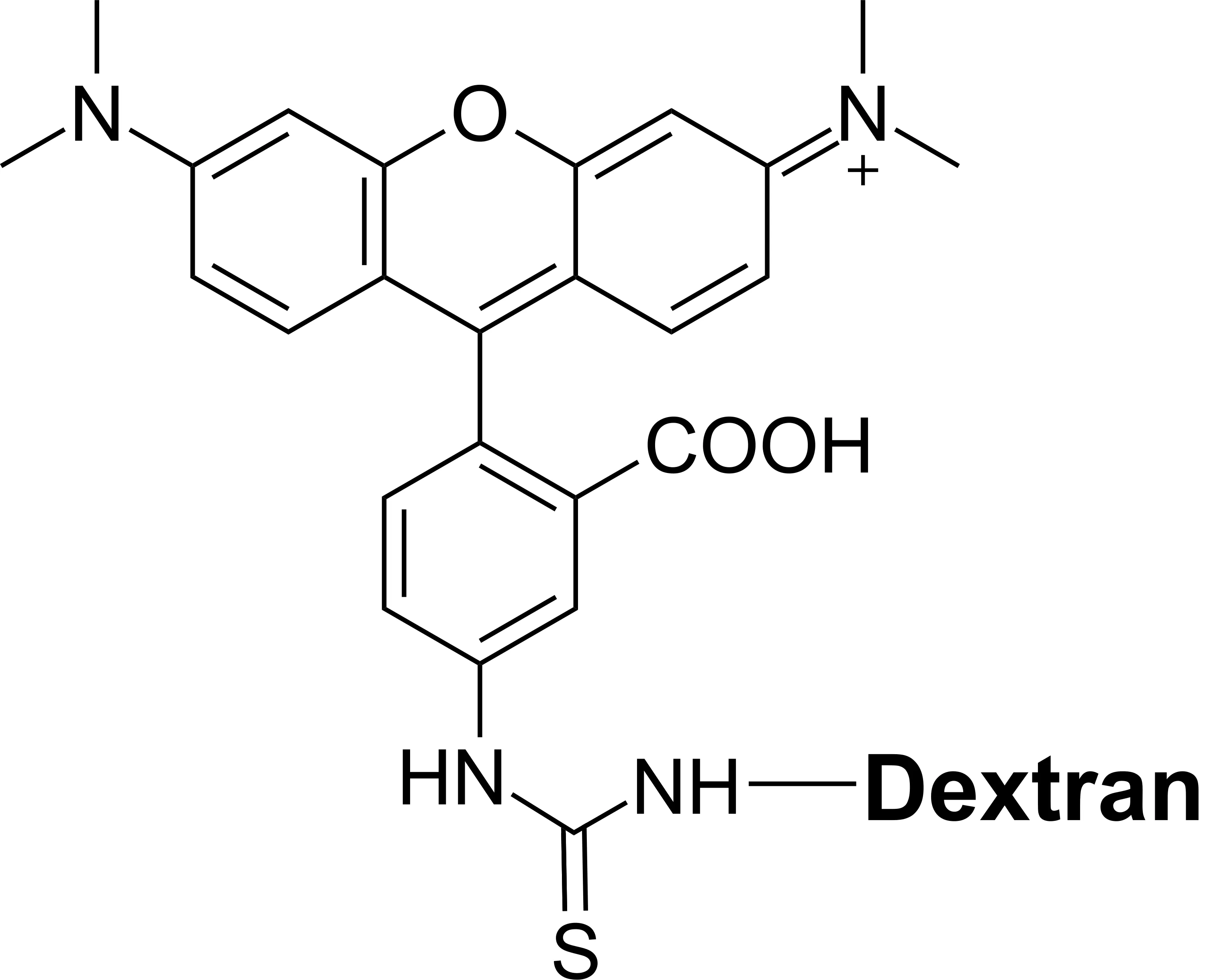 TRITC–dextran conjugate (average MW = ~70K) - image 1