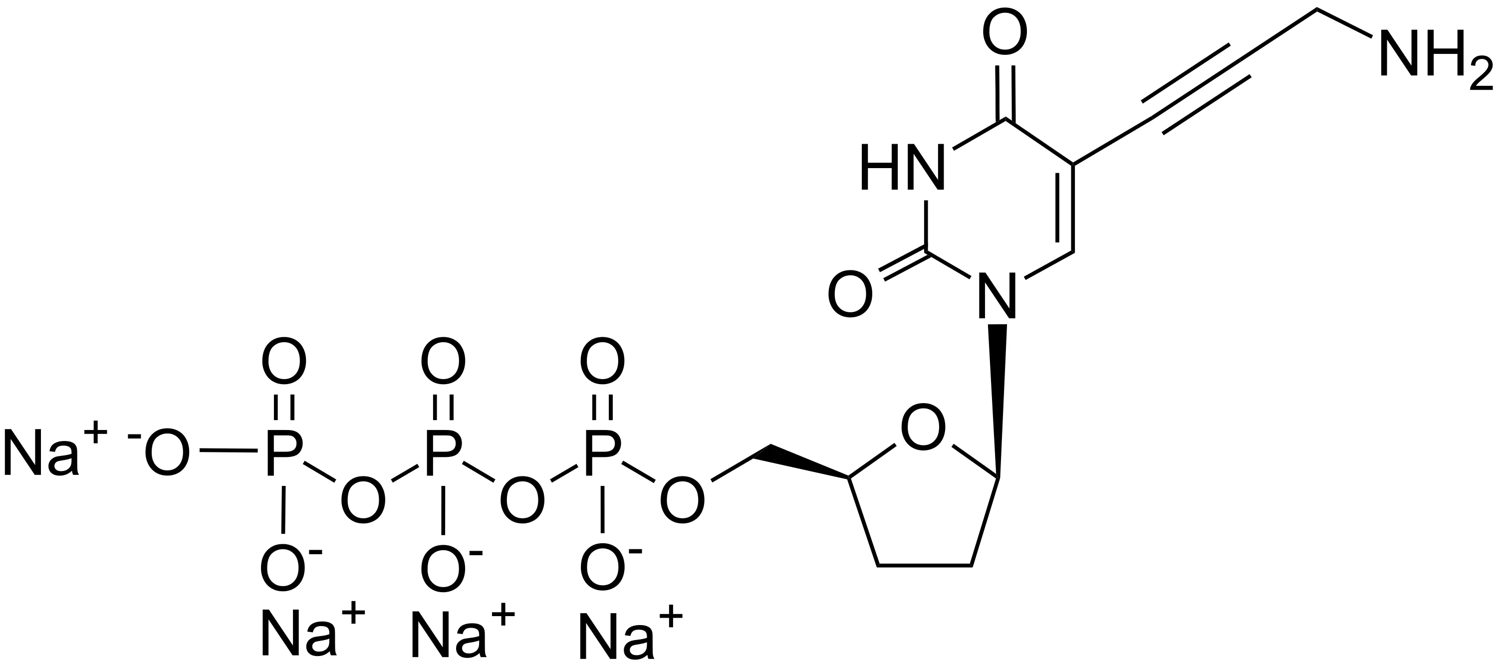 Aminopropargyl ddTTP [5-Propargylamino-2',3'-dideoxyuridine-5'-triphosphate] - image 1
