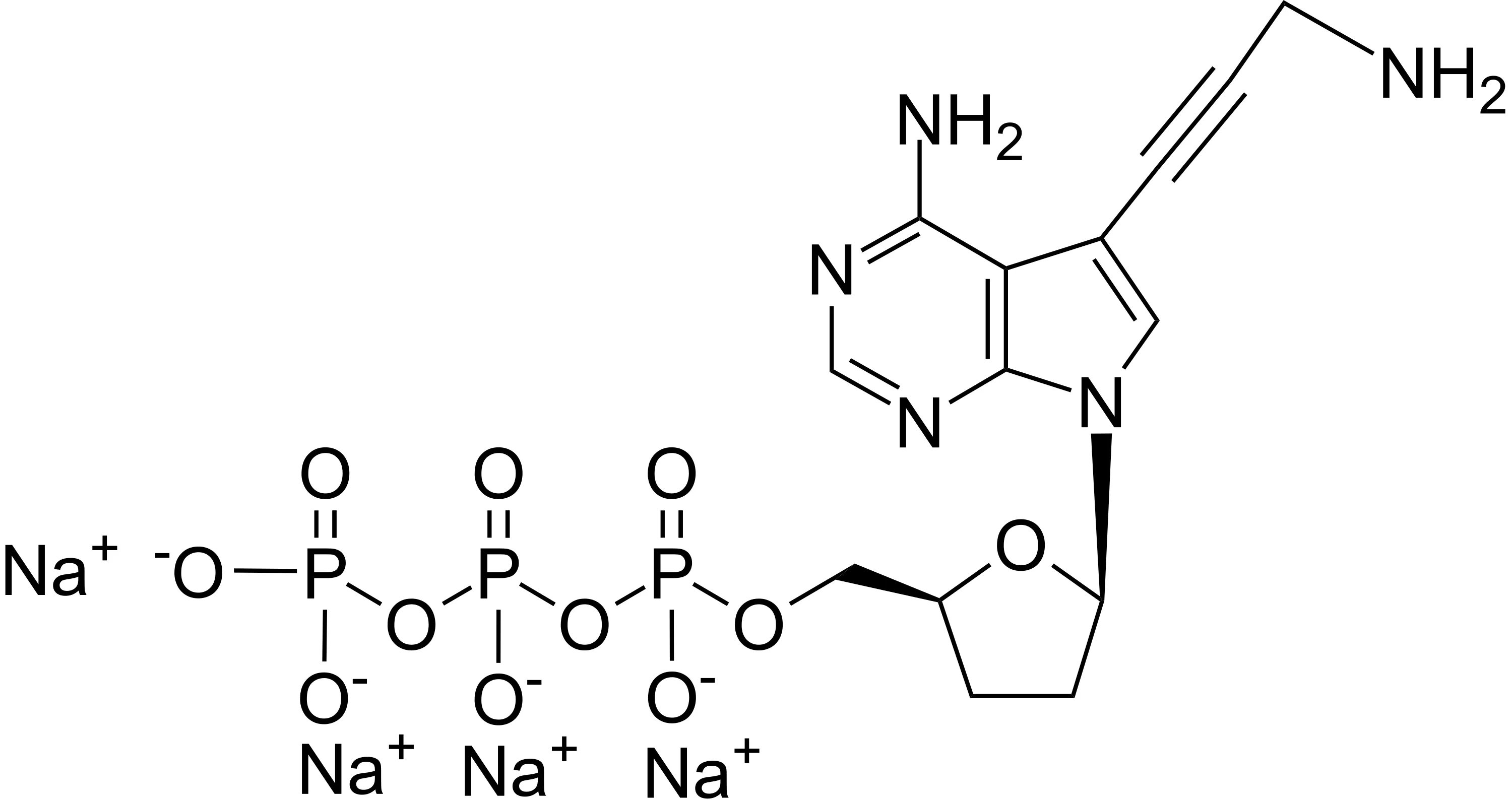 Aminopropargyl ddATP [7-Deaza-7-Propargylamino-2',3'-dideoxyadenosine-5'-triphosphate] - image 1