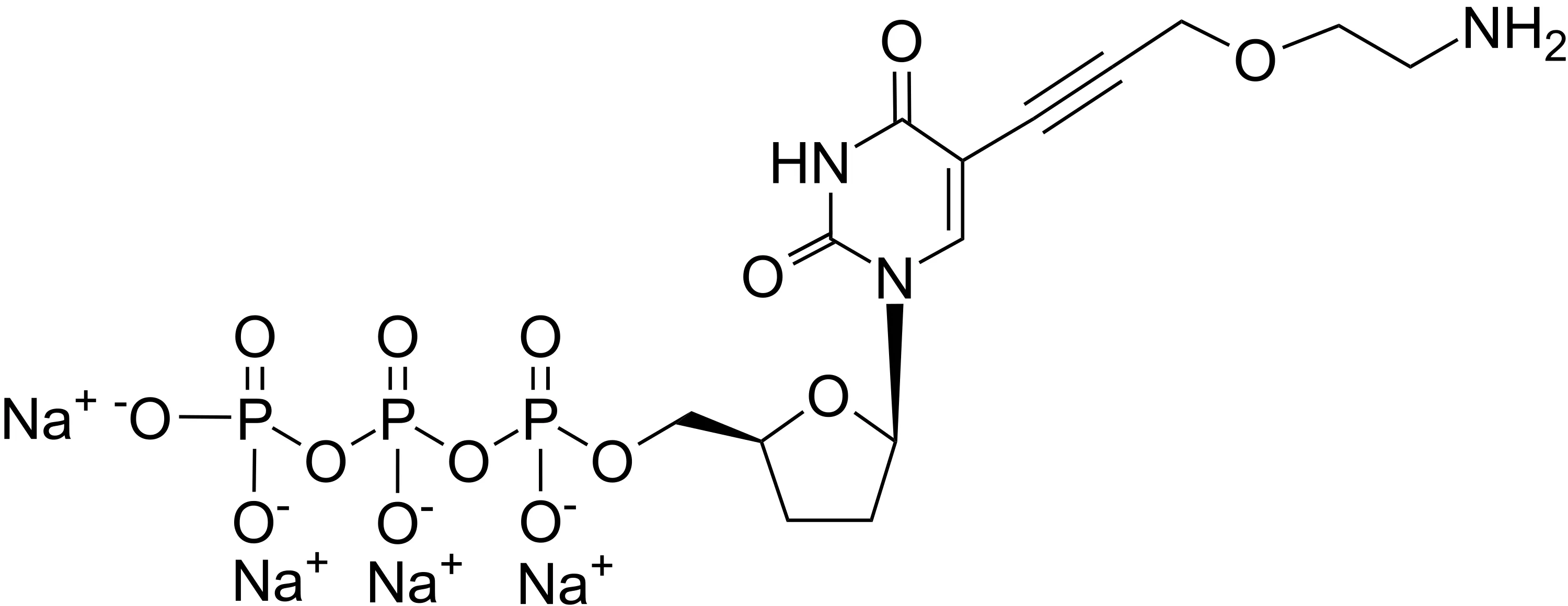 2-Aminoethoxypropargyl ddTTP - image 1