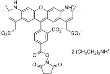 XFD568 NHS Ester *Same Structure to Alexa Fluor™ 568 NHS Ester* - image 1