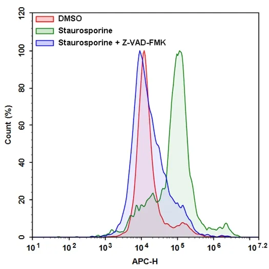 Cell Meter™ Live Cell Caspase 8 Binding Assay Kit *Red Fluorescence* - image 1