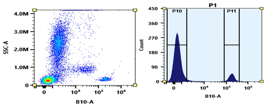 ReadiUse™ Preactivated PE-iFluor® 700 Tandem - image 3